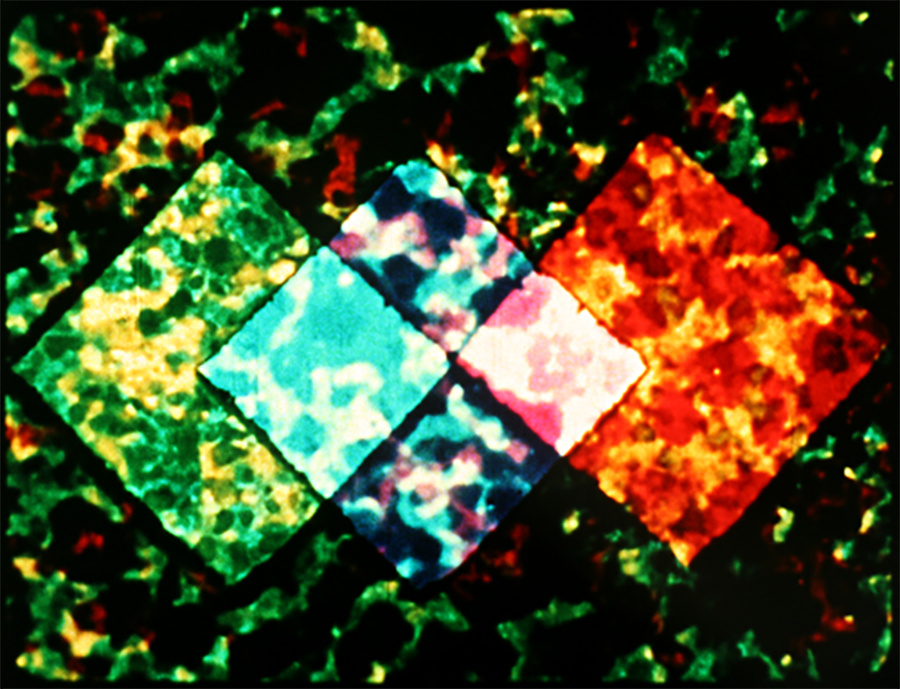 http://mdfilmfest.net/wp-content/uploads/3-early-abstractions_still.png