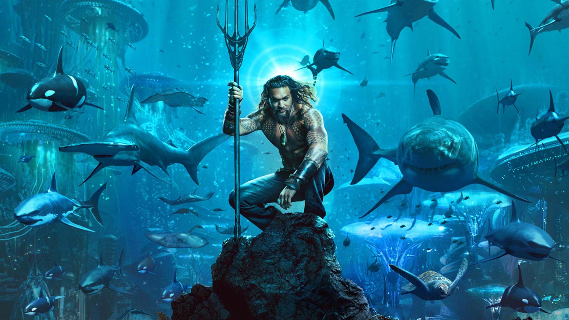 http://mdfilmfest.net/wp-content/uploads/Aquaman_Still_WEB_02.jpg