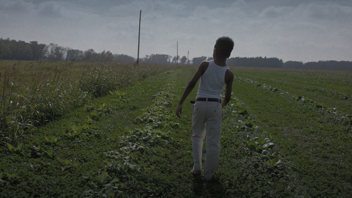 http://mdfilmfest.net/wp-content/uploads/BURNING-CANE-2.jpeg