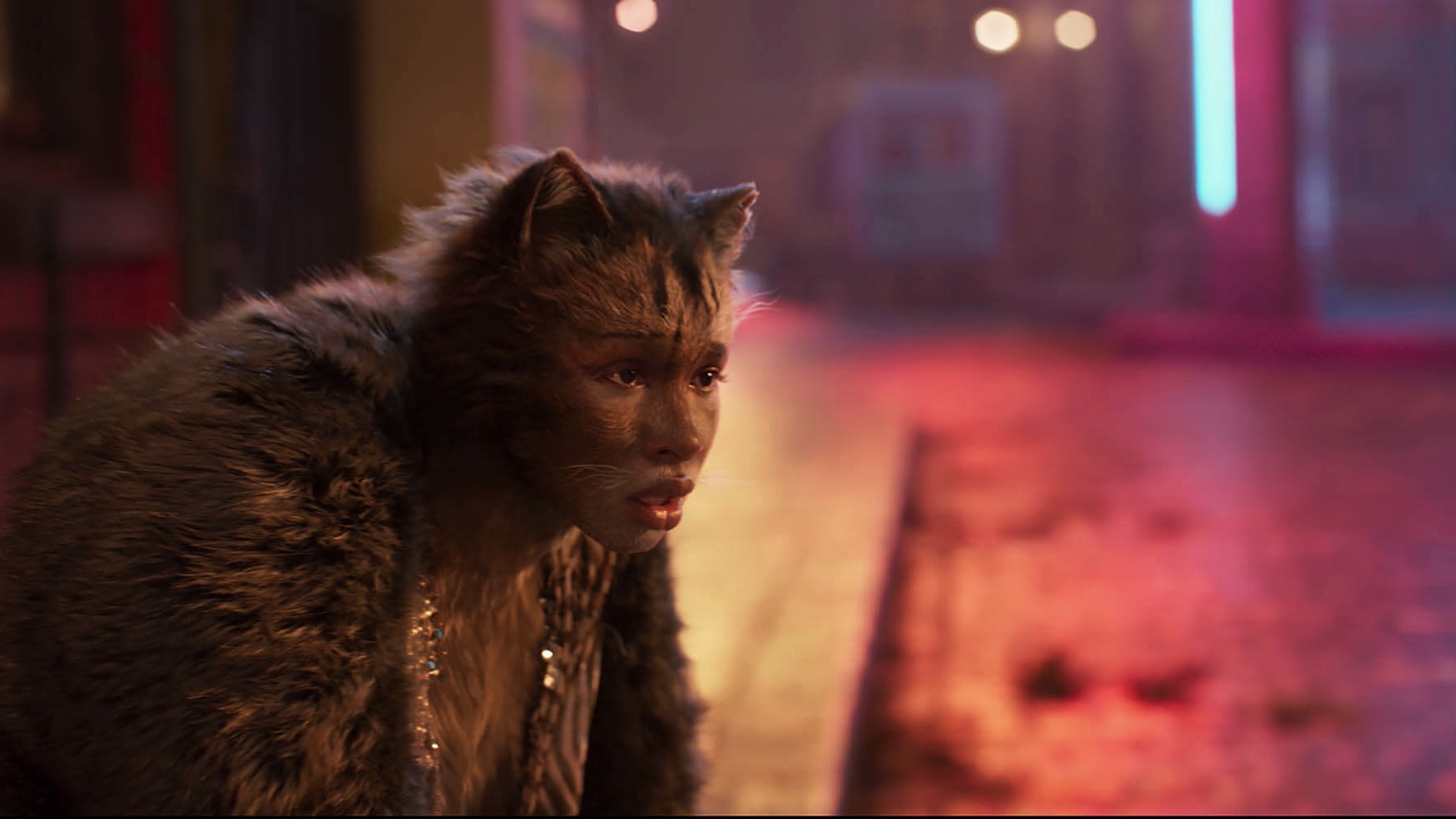 http://mdfilmfest.net/wp-content/uploads/CATS-GALLERY-1-1900X1000-5D30E468D4CC0-1.jpeg