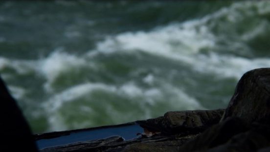 http://mdfilmfest.net/wp-content/uploads/Exulansis-e1556136257140.jpg