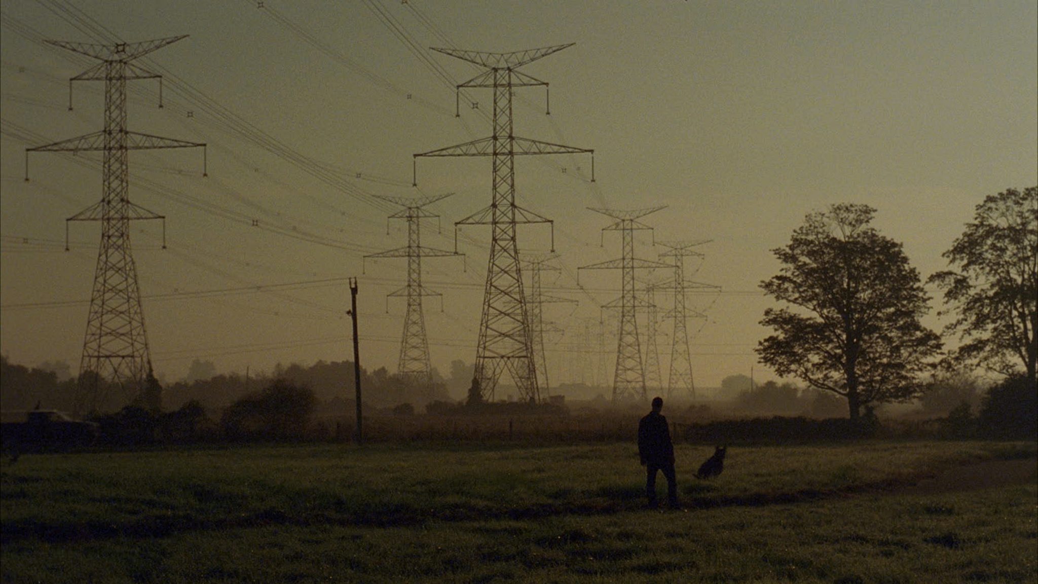 http://mdfilmfest.net/wp-content/uploads/Good-Boy.jpg