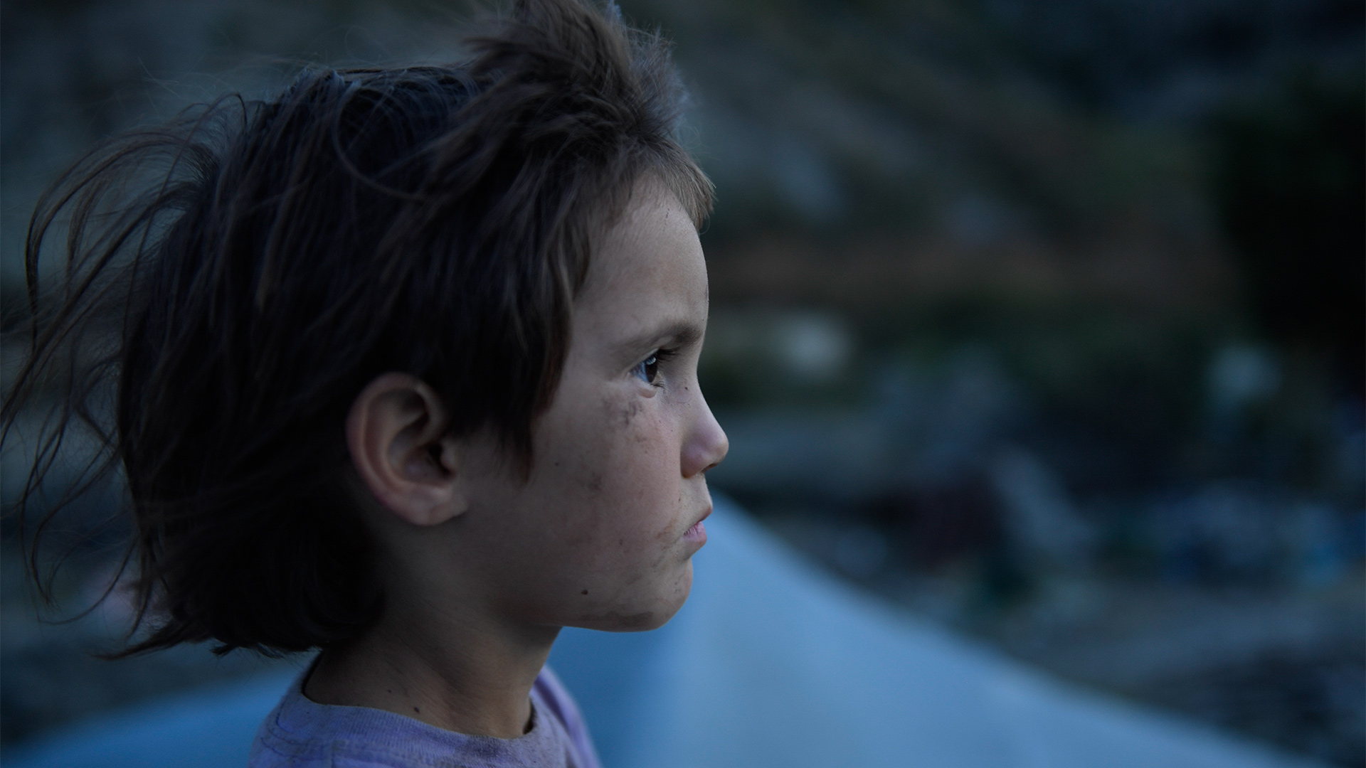 http://mdfilmfest.net/wp-content/uploads/Honeyland_Still_WEB_02.jpg