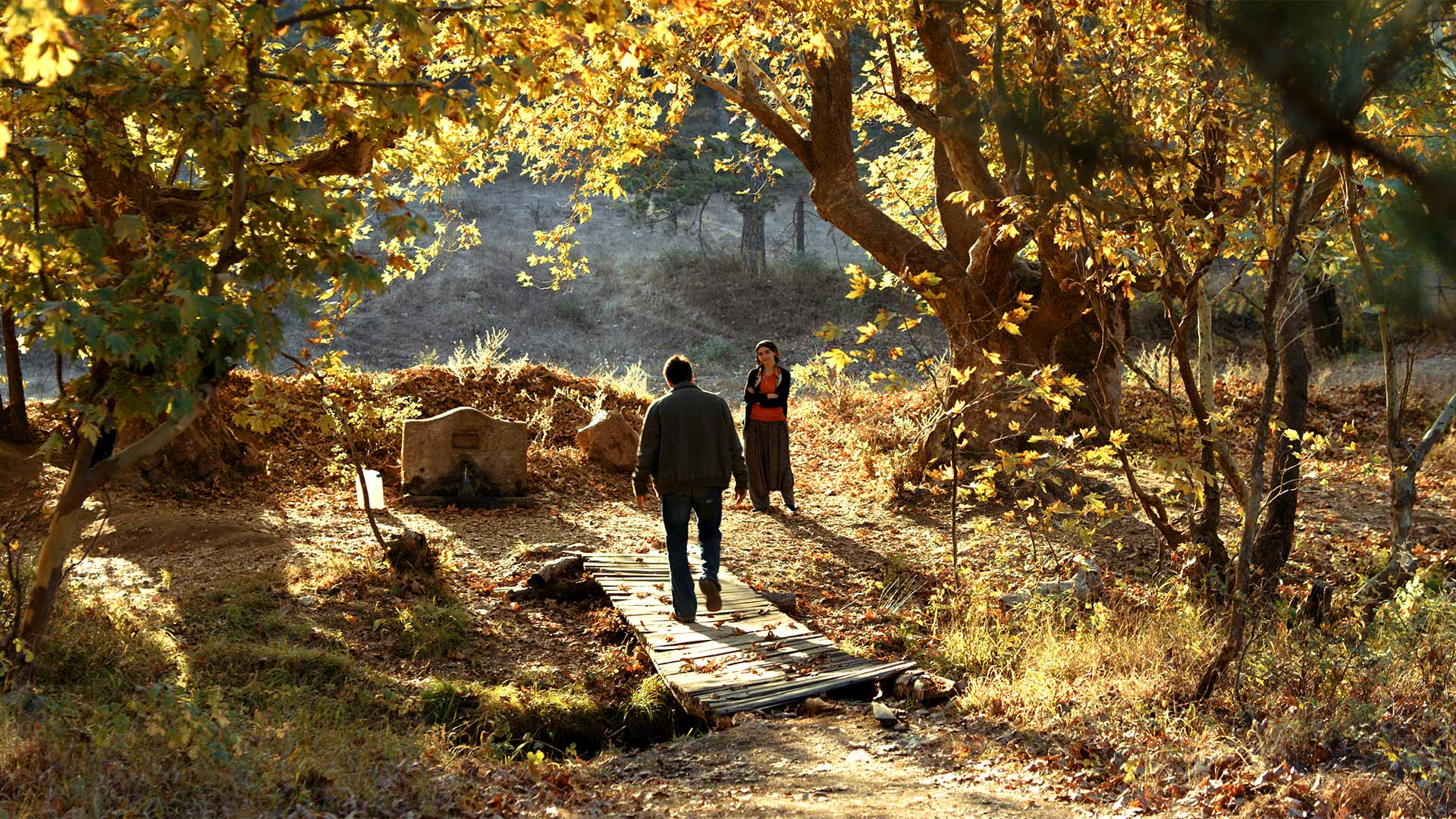 http://mdfilmfest.net/wp-content/uploads/The-Wild-Pear-Tree_Poster_Stilll_02.jpg