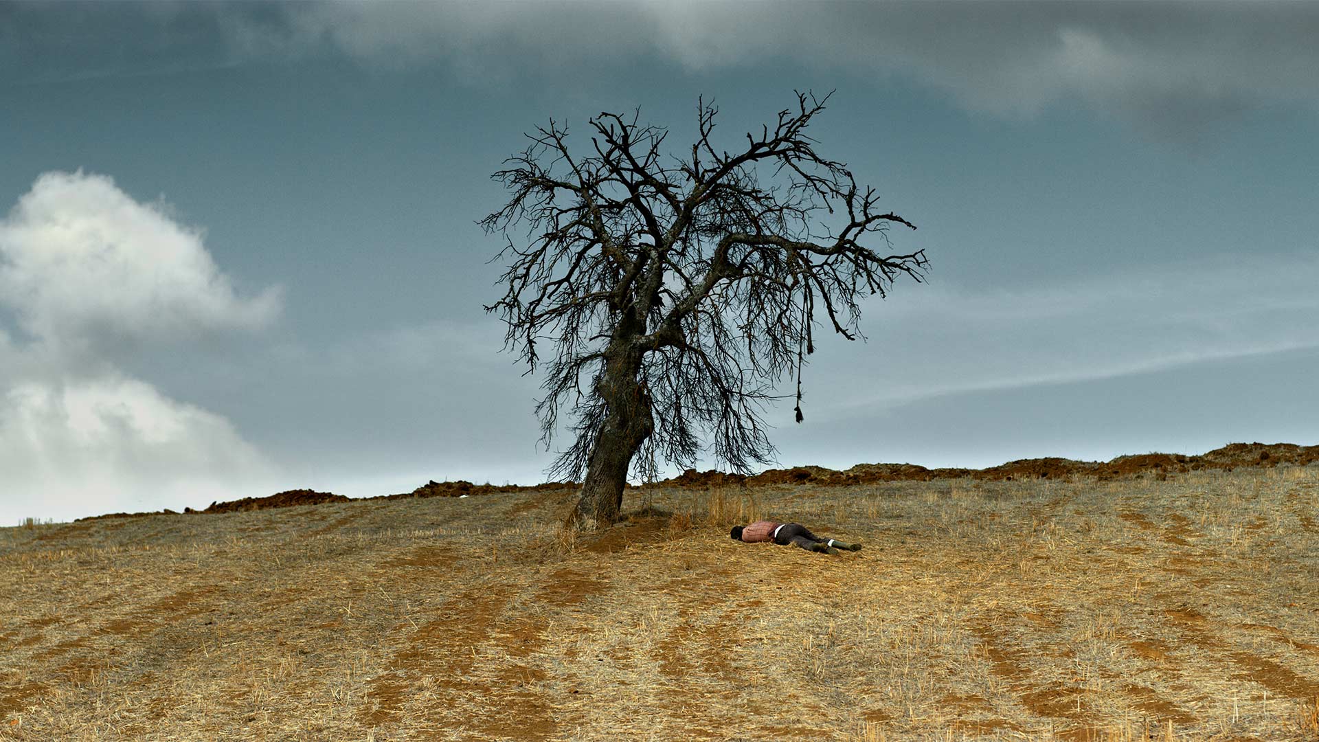 http://mdfilmfest.net/wp-content/uploads/The-Wild-Pear-Tree_Poster_Stilll_04.jpg