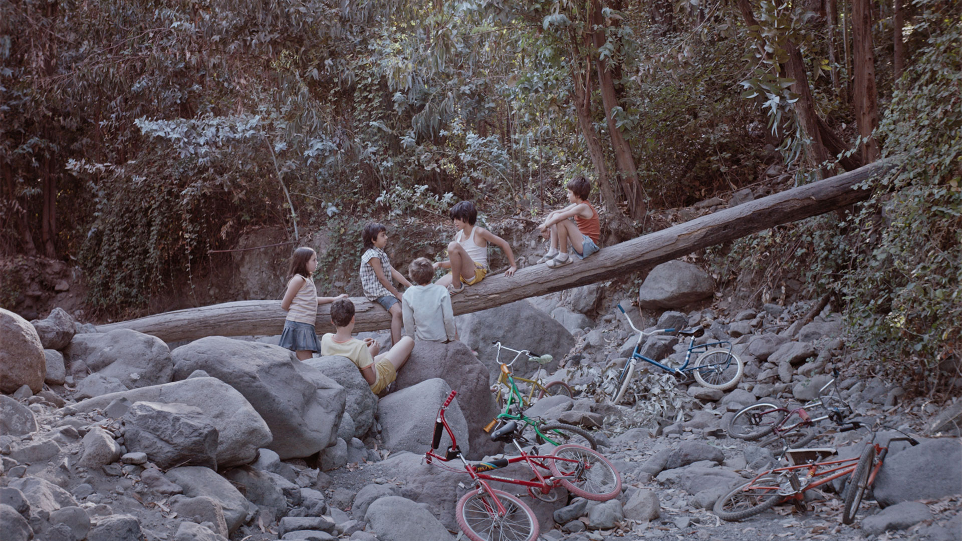 http://mdfilmfest.net/wp-content/uploads/Too-Late-to-Die-Young_Still_WEB_04.jpg