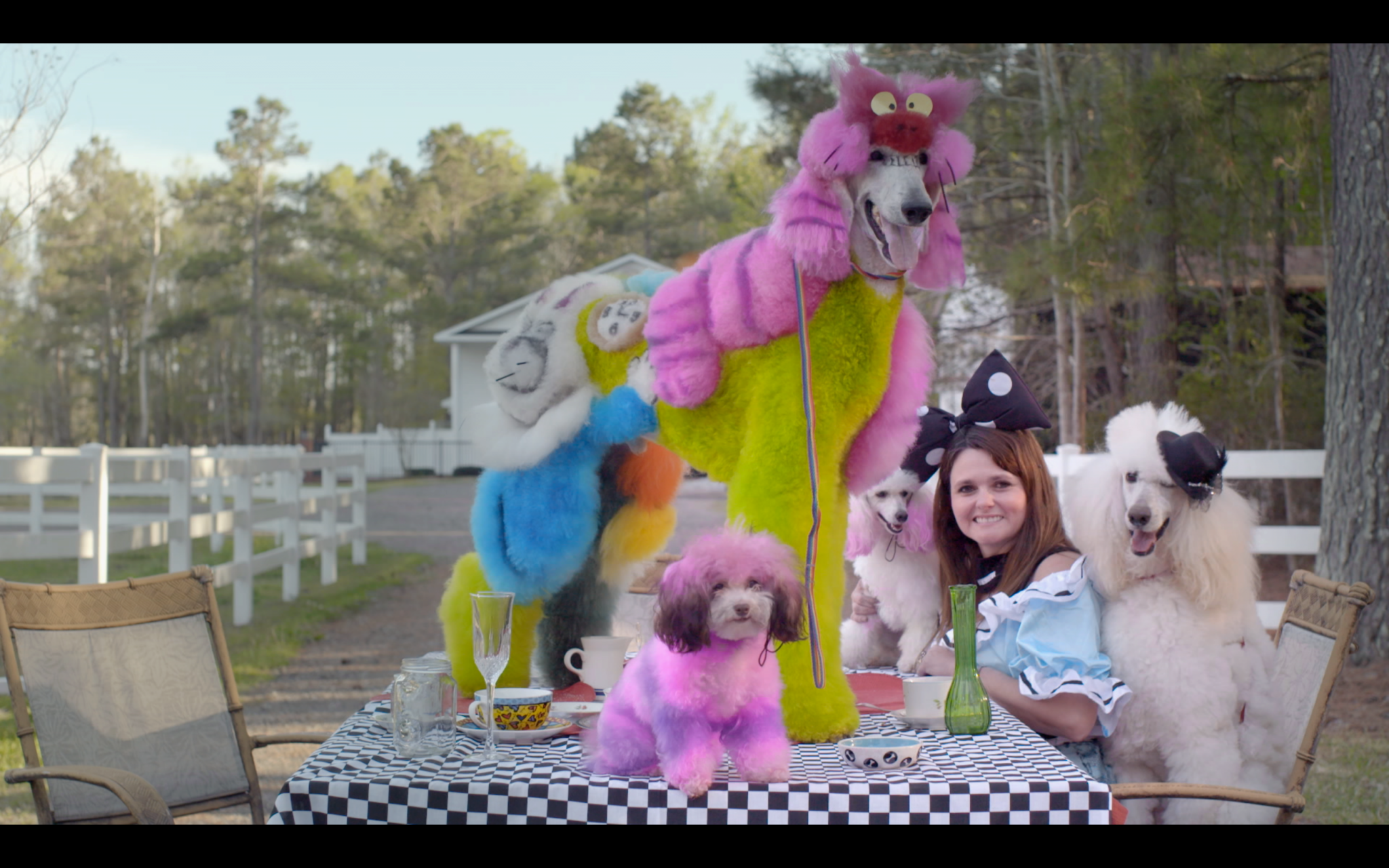 http://mdfilmfest.net/wp-content/uploads/WELLGROOMED_2.png