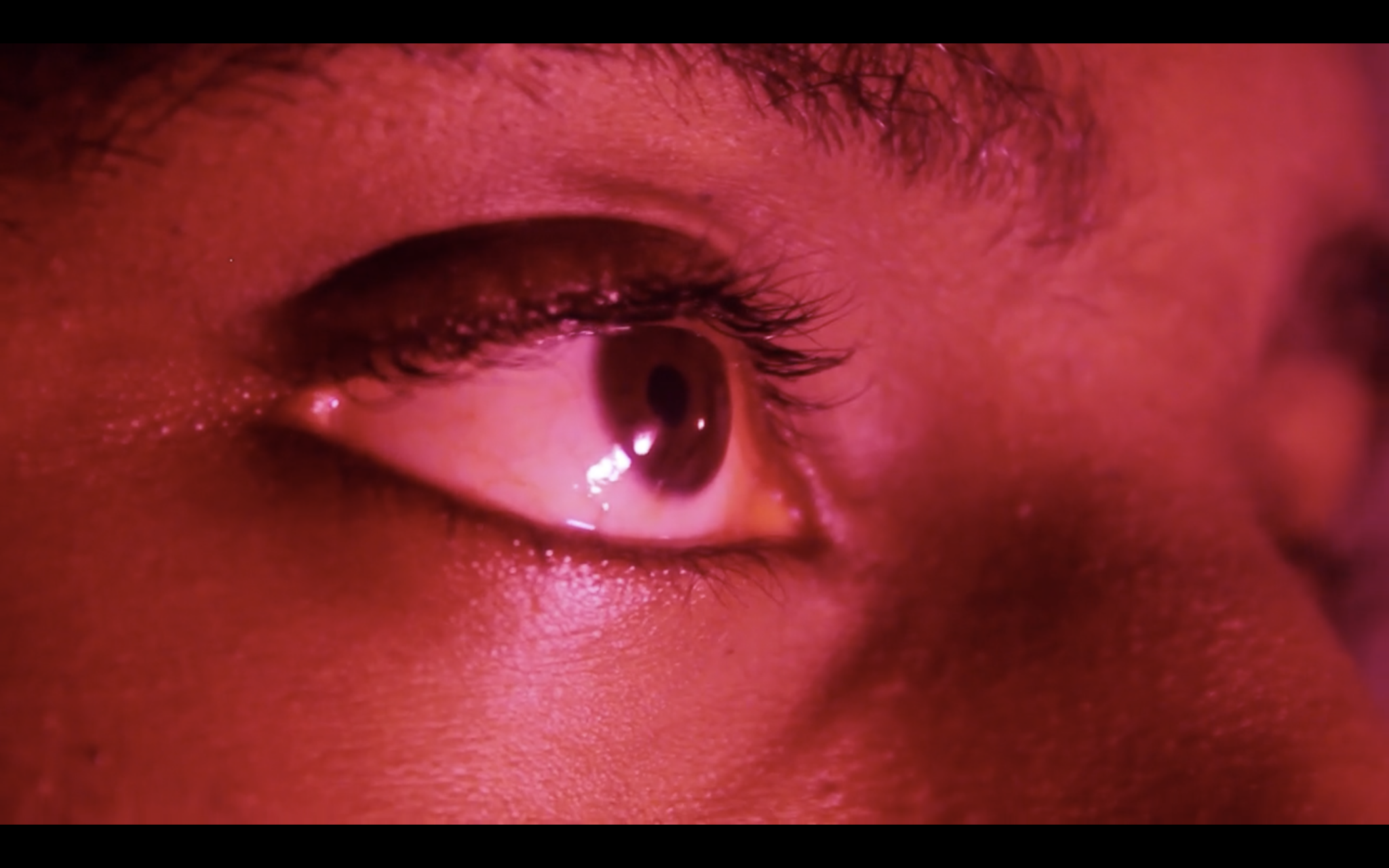 http://mdfilmfest.net/wp-content/uploads/duality.png